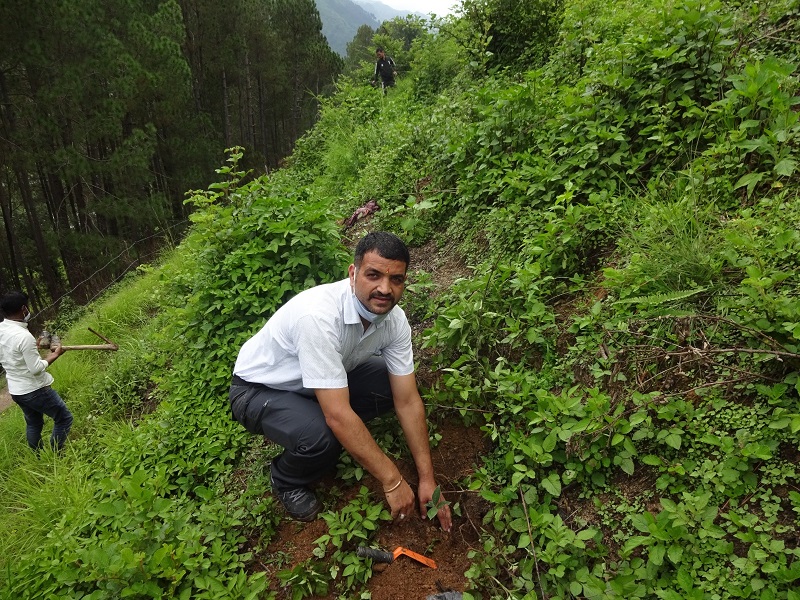 i-sar-work-and-development-work